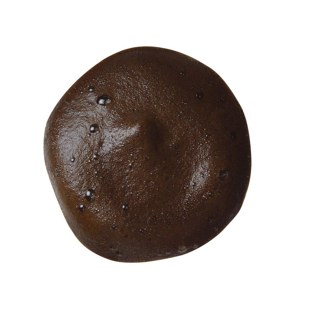 Self Tan Dark Mousse - ST TROPEZ -  - Imagem 3