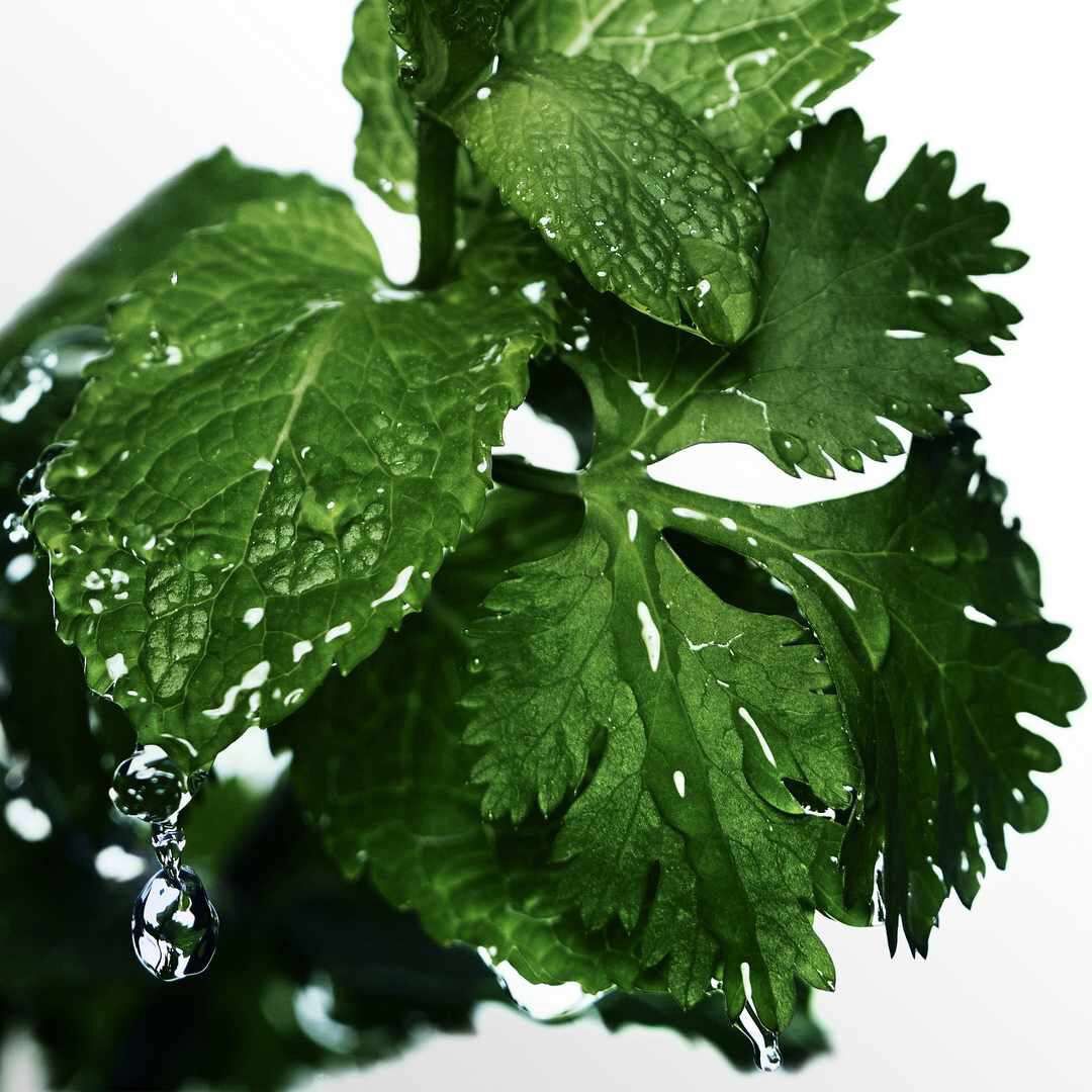 Eau de Toilette - DAVIDOFF - COOL WATER/H - Imagem 3