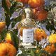 Mandarine Basilic Eau de Toilette - GUERLAIN - AQUA ALLEGORIA - Imagem 3