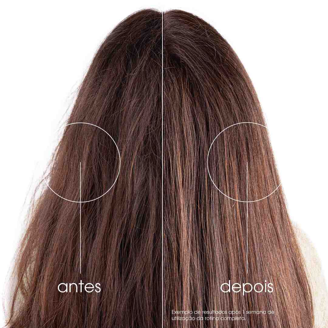 Champ&ocirc; Figo da &Iacute;ndia Hidratante Cabelo Ba&ccedil;o - KLORANE -  - Imagem 4