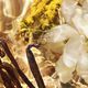 Bosca Vanilla Eau de Parfum - Recarga - GUERLAIN - AQUA ALLEGORIA FORTE - Imagem 2