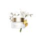 Nutri-Lumi&egrave;re SPF15 - CLARINS - Nutri-Lumi&egrave;re - Imagem 4