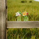 Eau de Parfum - MARC JACOBS - WILD EAU SO INTENSE - Imagem 3