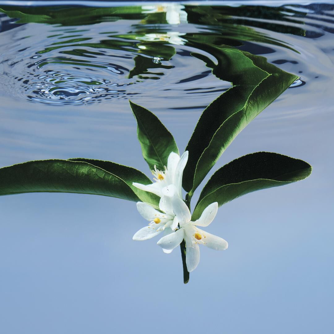 Eau de Toilette - GUCCI - GUCCI BLOOM - Imagem 2