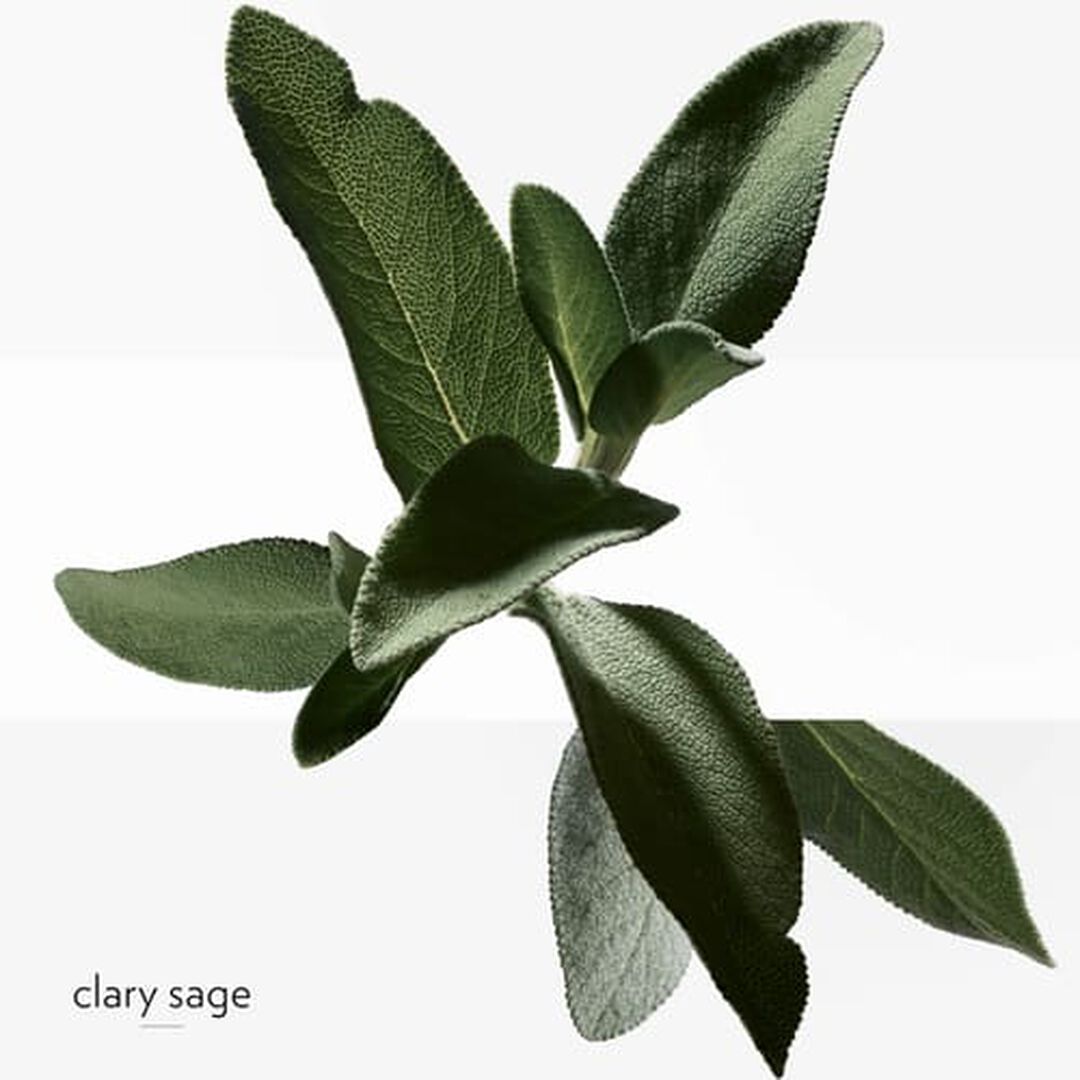 Recarga Eau de Toilette - Hermès - H24 - Imagem 8