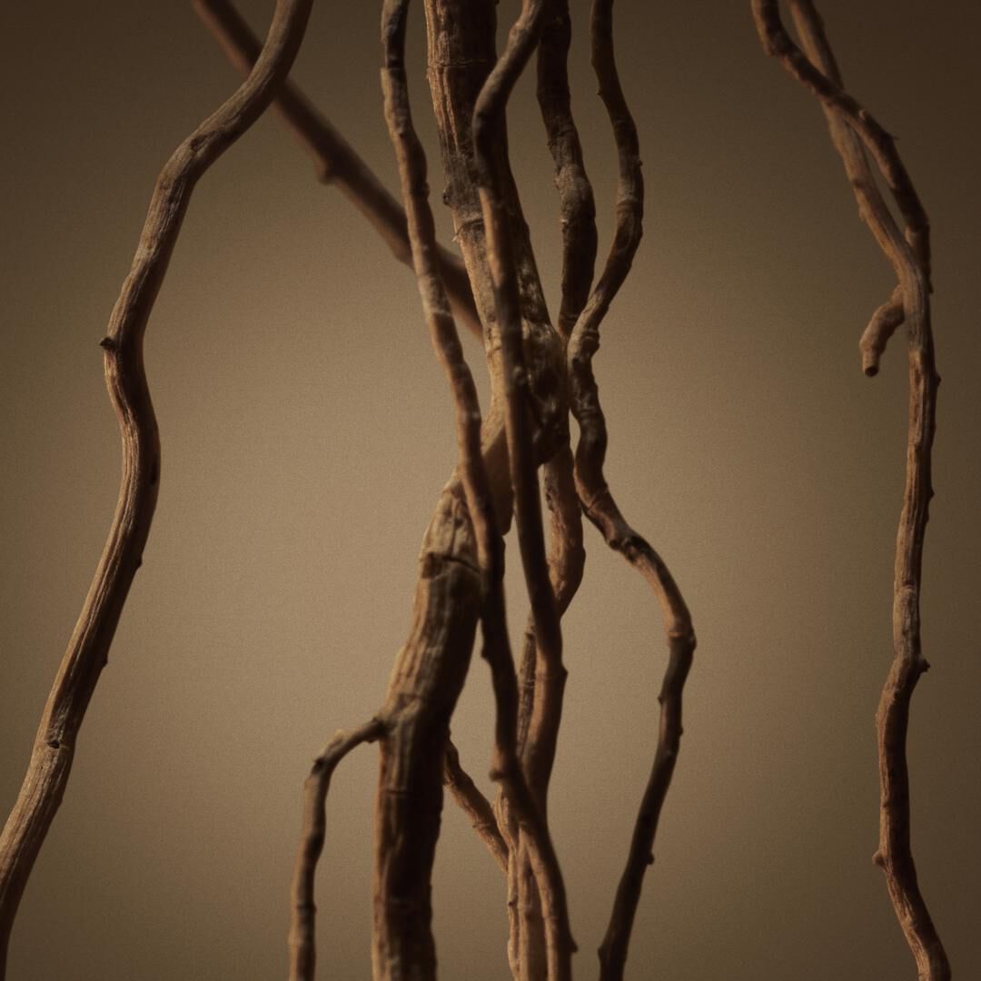 Eau de Parfum - HUGO BOSS - Boss Bottled - Imagem 6