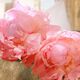 My Devotion Eau de Parfum Intense - Dolce&Gabbana - DEVOTION - Imagem 8
