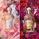 Rosa Rossa Eau de Parfum - GUERLAIN - AQUA ALLEGORIA FORTE - Imagem 6