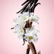 Eau de Parfum - VIKTOR & ROLF - FLOWER BOMB - Imagem 2