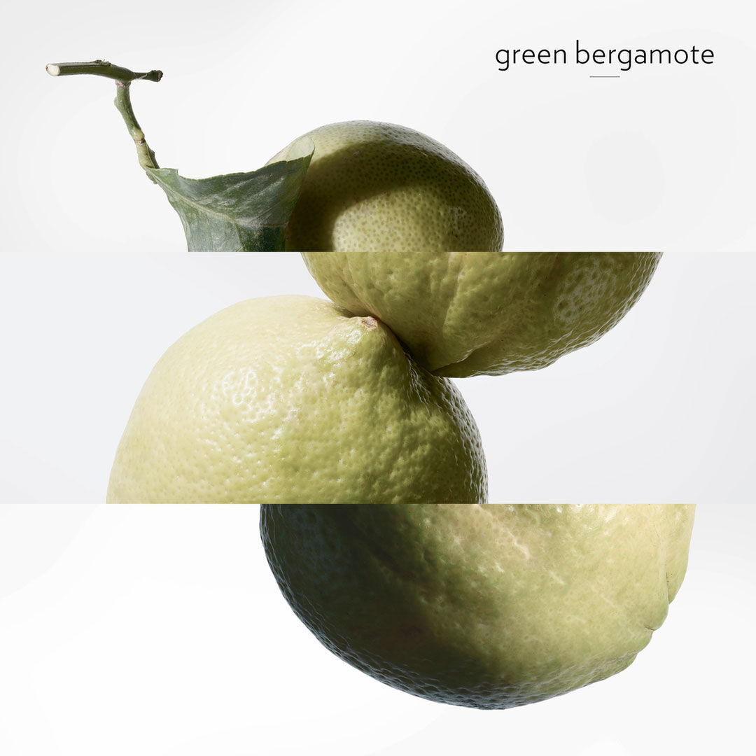 Eau de Basilic Pourpre - Hermès - COLEÇÃO COLOGNES - Imagem 5