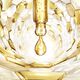 Advanced Youth Watery Oil - GUERLAIN - ABEILLE ROYALE - Imagem 3