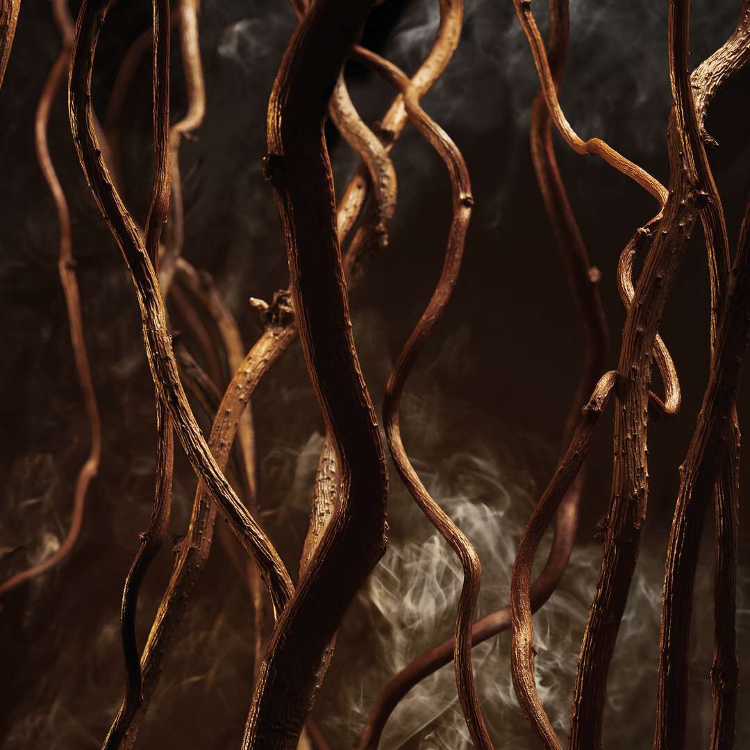 Elixir - HUGO BOSS - Boss Bottled - Imagem 3