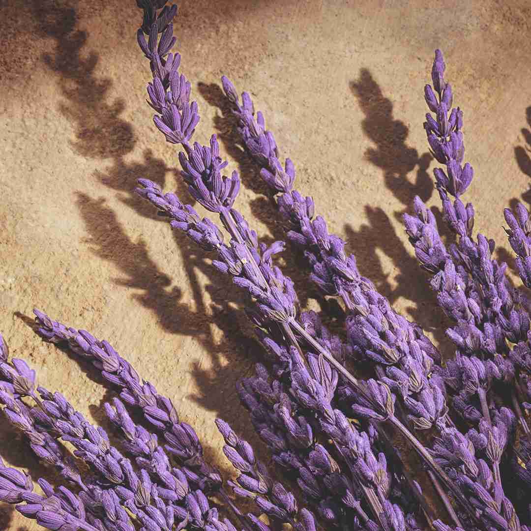 Parfum - Dolce&Gabbana - DEVOTION FOR MEN - Imagem 5