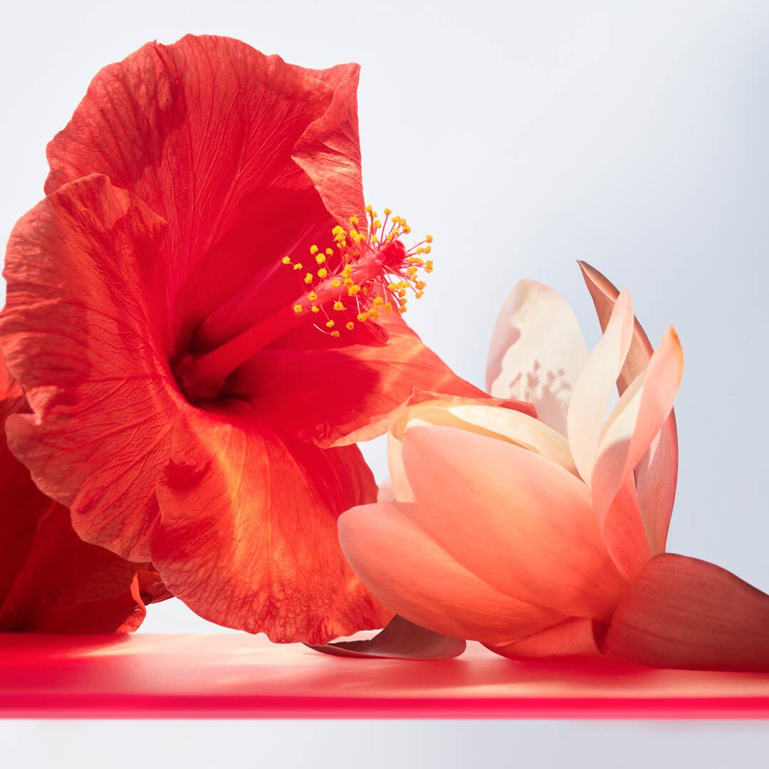 Coral Eau de Toilette - BVLGARI - OMNIA - Imagem 5