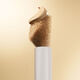 Brightening Skincealer Concealer - Est&eacute;e Lauder - Futurist - Imagem 4