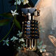 Parfum - RABANNE - Fame - Imagem 6