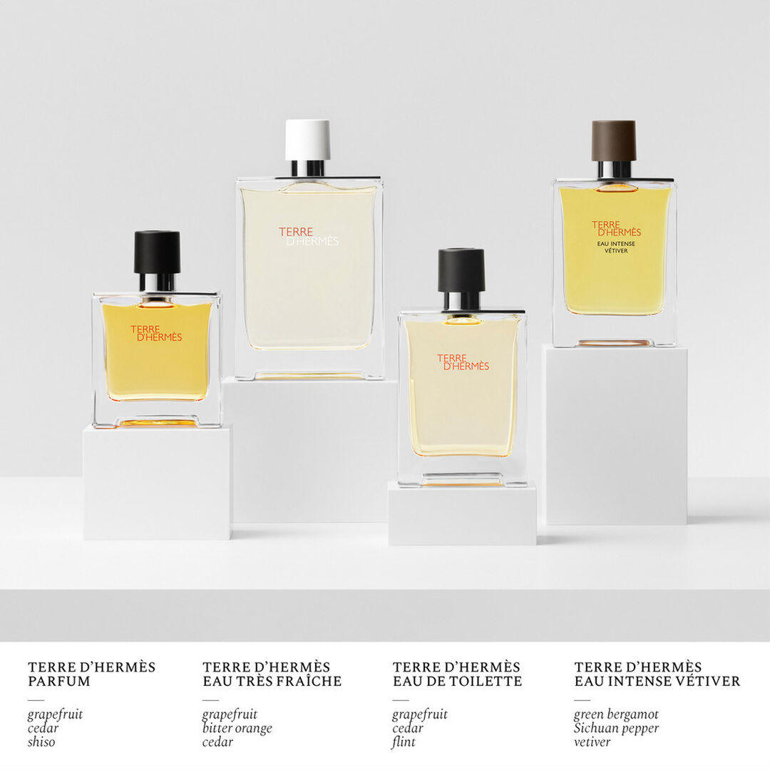 Pure Parfum - Hermès - TERRE D'HERMES - Imagem 3