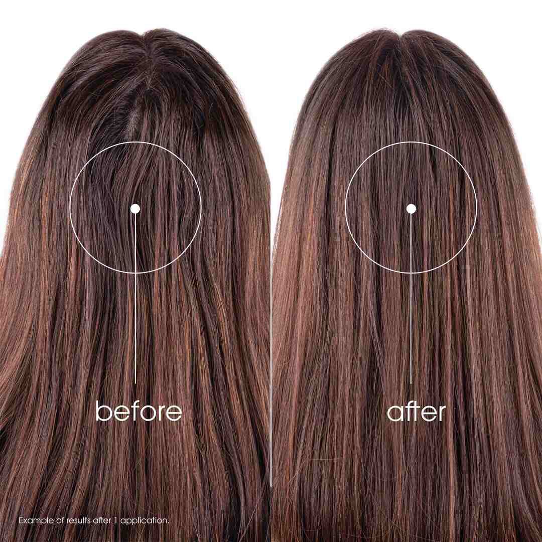 Champ&ocirc; Seco Ortiga e Vitamina E (Cabelo Castanho) - KLORANE -  - Imagem 4