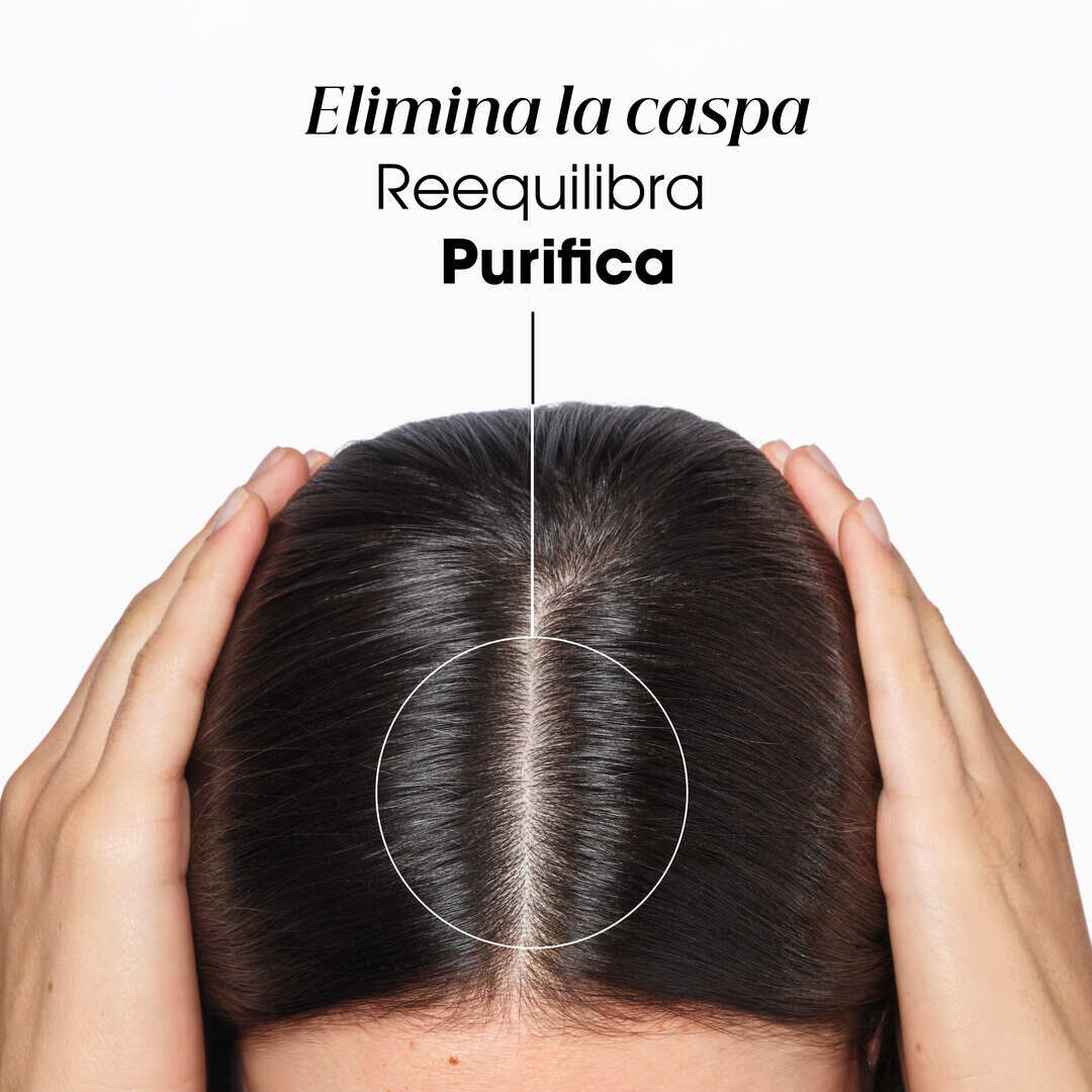 Galanga Champô Anticaspa Reequilibrante - KLORANE -  - Imagem 12