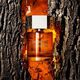 Eau de Parfum - Yves Saint Laurent - L'Homme - Imagem 2