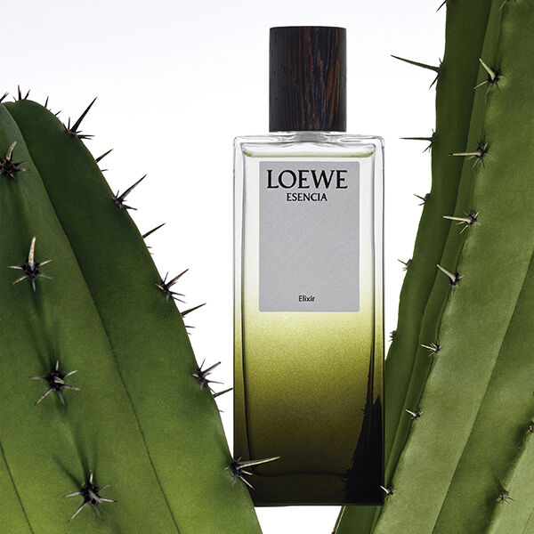 LOEWE ESENCIA - ELIXIR - LOEWE | Perfumes e Companhia