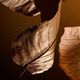 Parfum - Dolce&Gabbana - THE ONE FOR MEN - Imagem 2