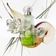 Un Jardin Sur Le Toit Eau de Toilette - Hermès - COLEÇÃO PARFUMS-JARDINS - Imagem 4