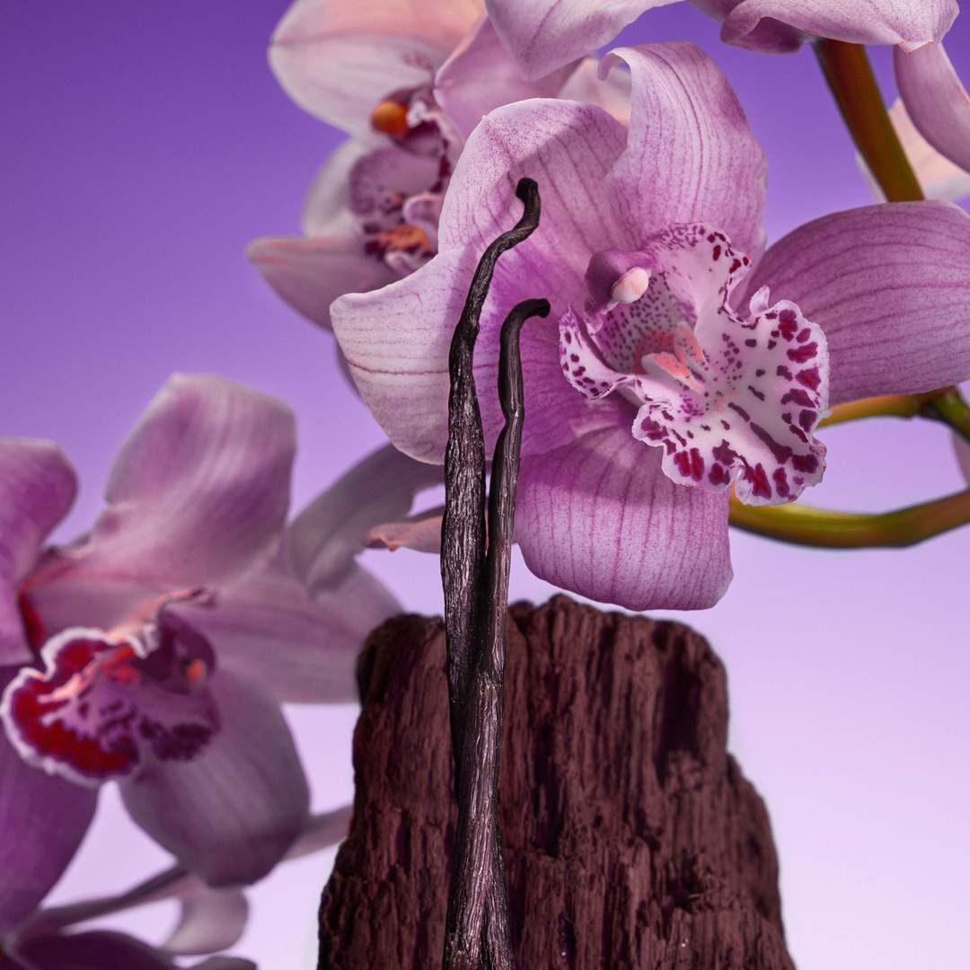 Parfum - CALVIN KLEIN - Euphoria New Collection Bold Elixir - Imagem 7