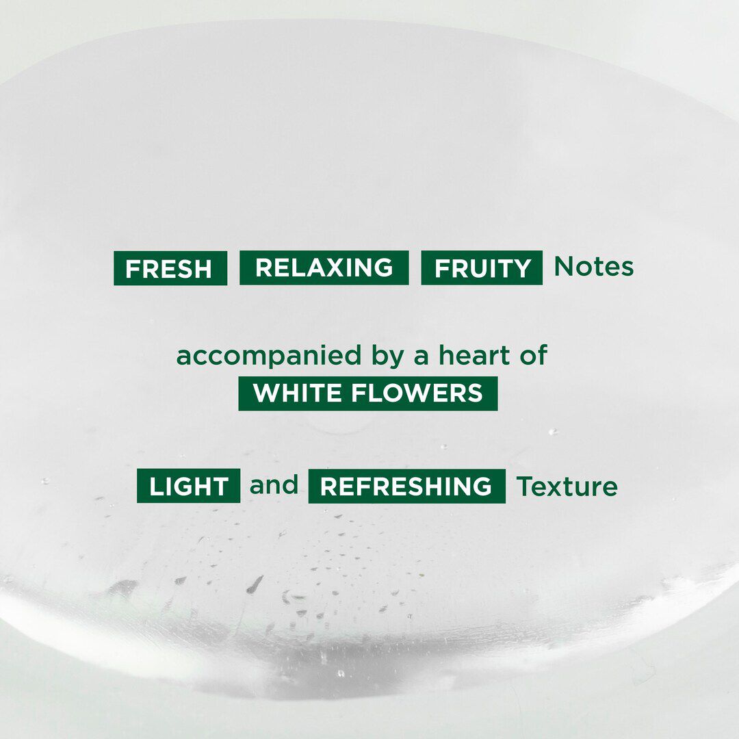 Água Perfumada Petit Brin - KLORANE -  - Imagem 4