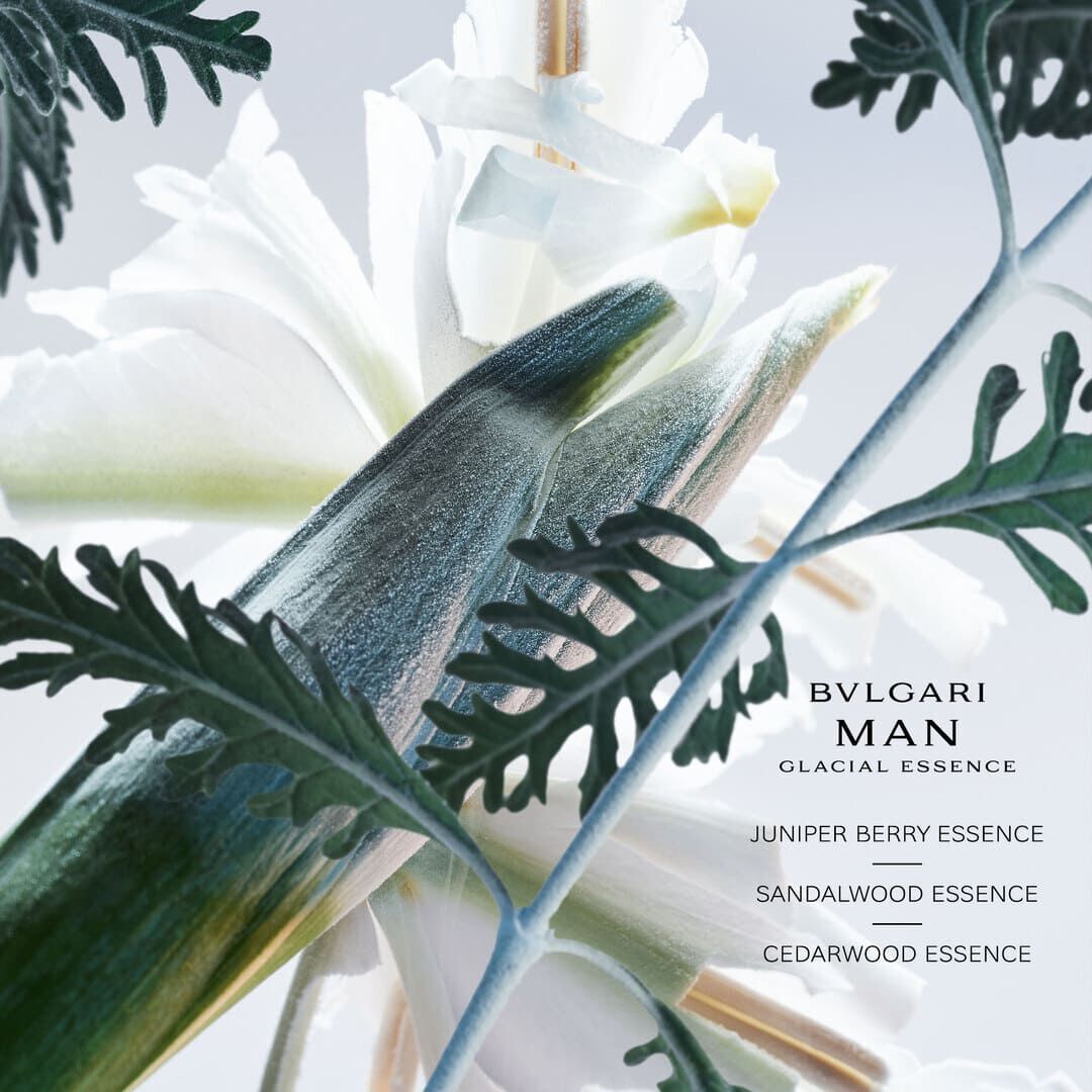 Glacial Essence Eau de Parfum - BVLGARI - BVLGARI MAN - Imagem 3