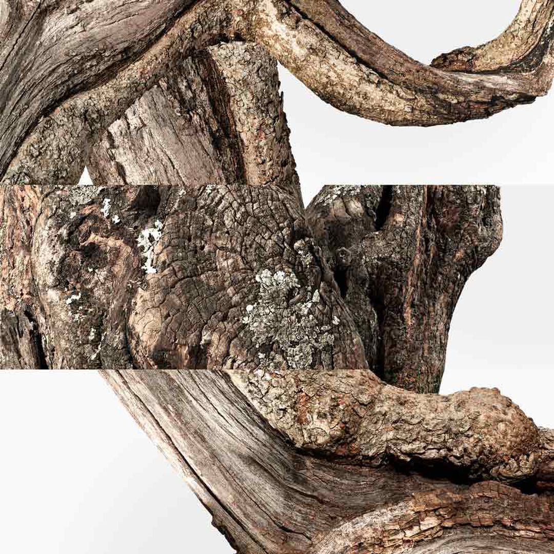 Un Jardin à Cythère Eau de Toilette - Hermès - COLEÇÃO PARFUMS-JARDINS - Imagem 9