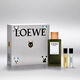 Coffret Eau de Parfum - LOEWE - LOEWE ESENCIA - Imagem 2
