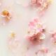 Refill - Fragrance Sticks - Rituals - Sakura - Imagem 3