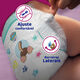 Fraldas Activity Tamanho 6+ (14kg-19kg) - DODOT -  - Imagem 6