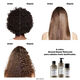 Recarga de Shampoo Absolut Repair Molecular - L'OR&Eacute;AL PROFESSIONNEL - SERIE EXPERT - Imagem 6