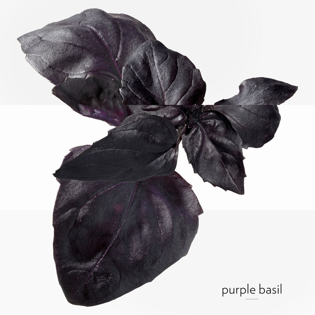 Eau de Basilic Pourpre - Hermès - COLEÇÃO COLOGNES - Imagem 4