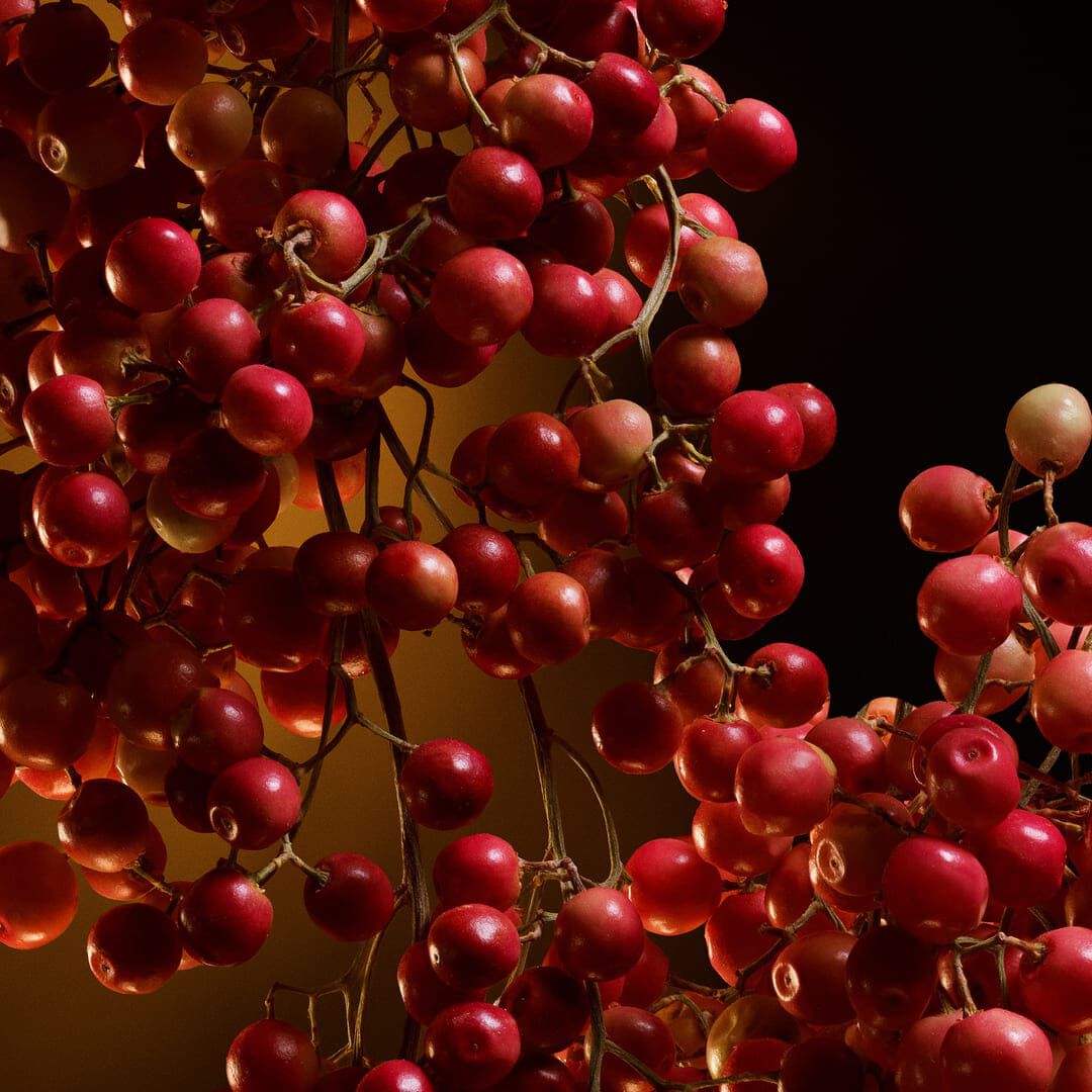 Eau de Parfum Intense - Dolce&Gabbana - THE ONE - Imagem 8