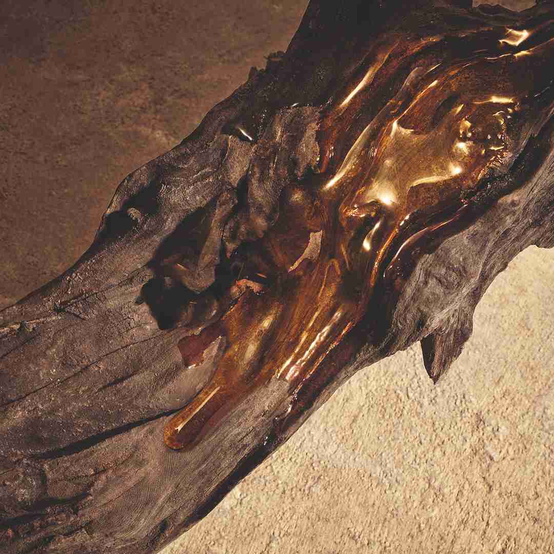 Parfum - Dolce&Gabbana - DEVOTION FOR MEN - Imagem 4