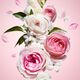 Eau de Parfum - VIKTOR & ROLF - FLOWER BOMB - Imagem 7