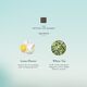 Mini Fragrance Sticks - Rituals - Karma - Imagem 2