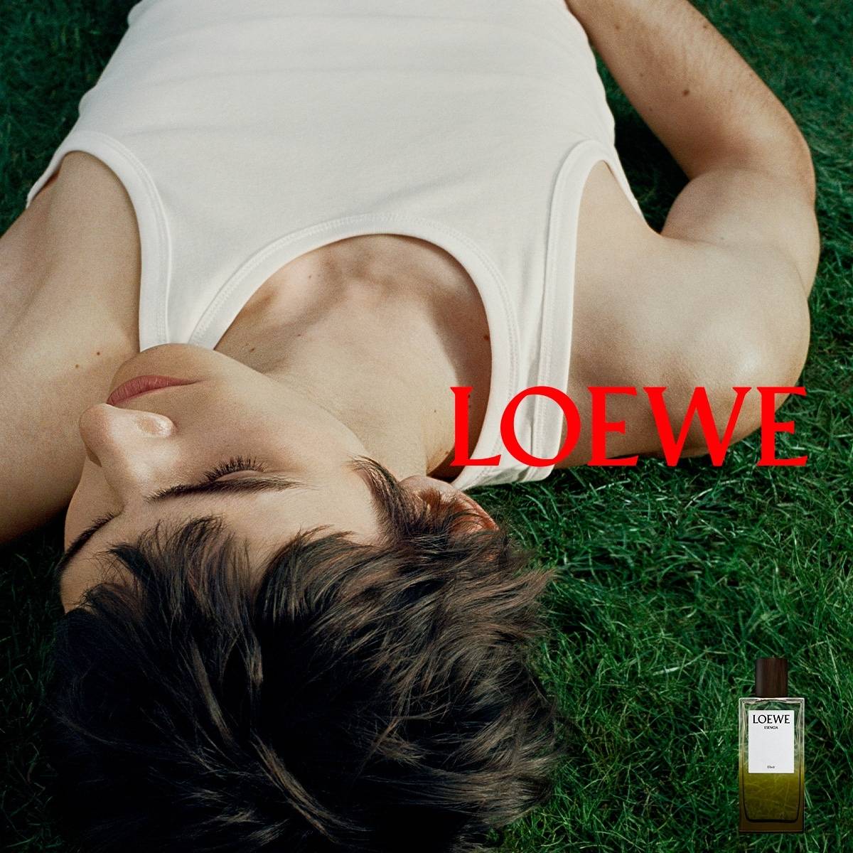 Loewe