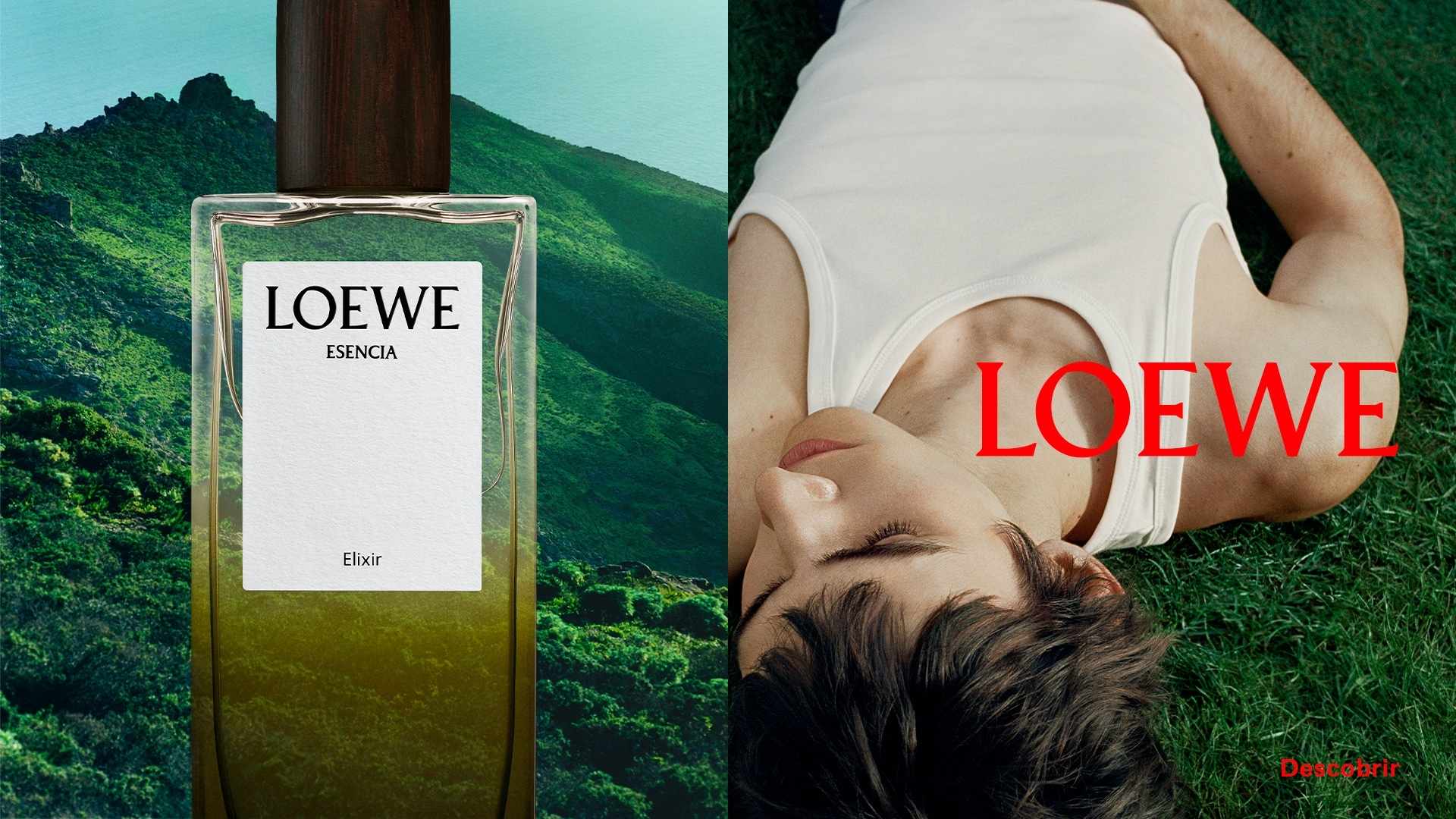 Loewe