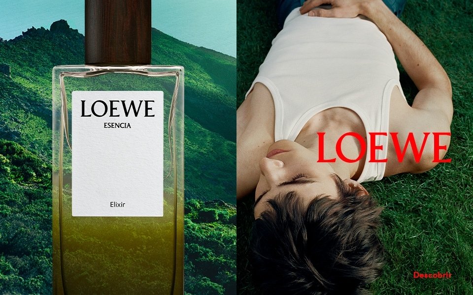 Loewe